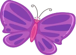 butterfly 4